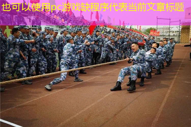 pc游戏缺程序