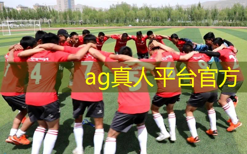 ag真人平台官方：手游3d城市游戏大全最新
