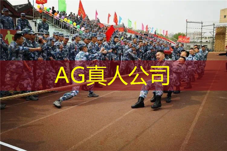 AG真人：3d类火柴人小游戏大全