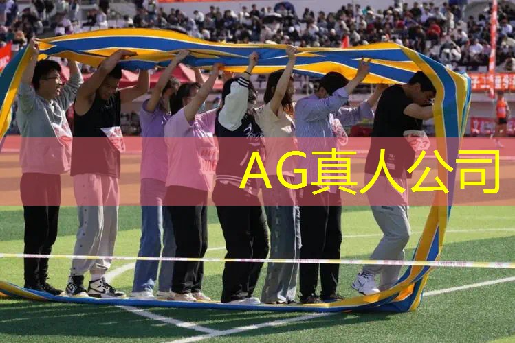 ag真人平台官方：情感游戏程序是什么样的
