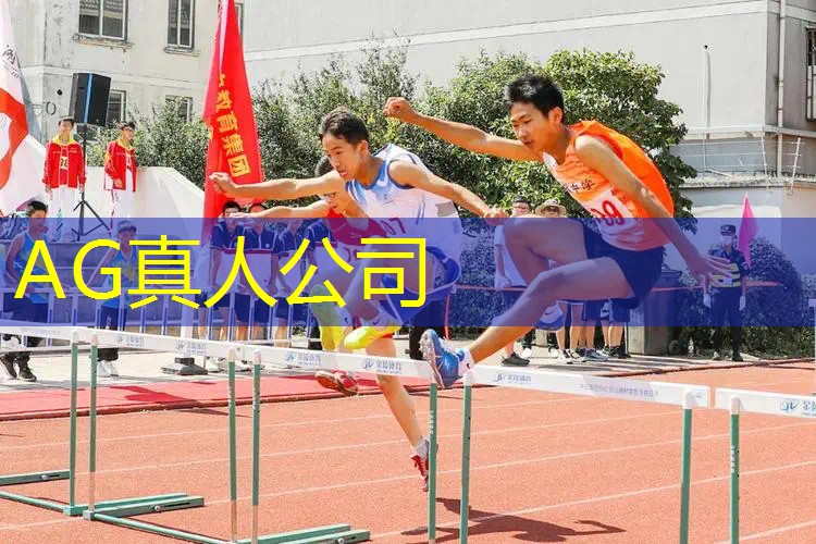 打醉拳的3d游戏叫什么