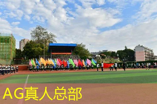 已经停服格斗游戏3d