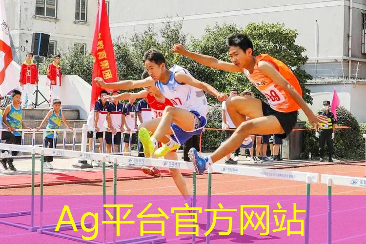 手机版3d单机宝可梦游戏