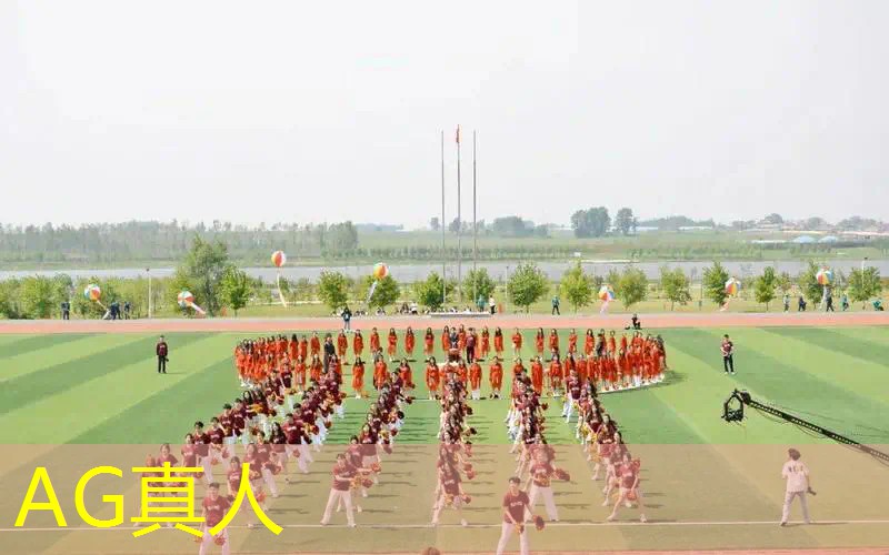 乐高编程3d游戏大全