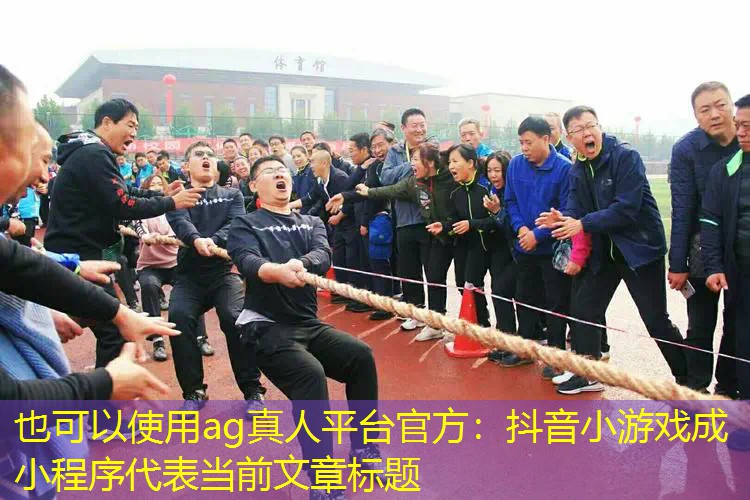 抖音小游戏成小程序