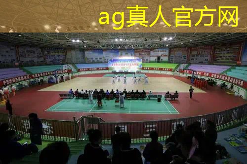 原画游戏神作是什么