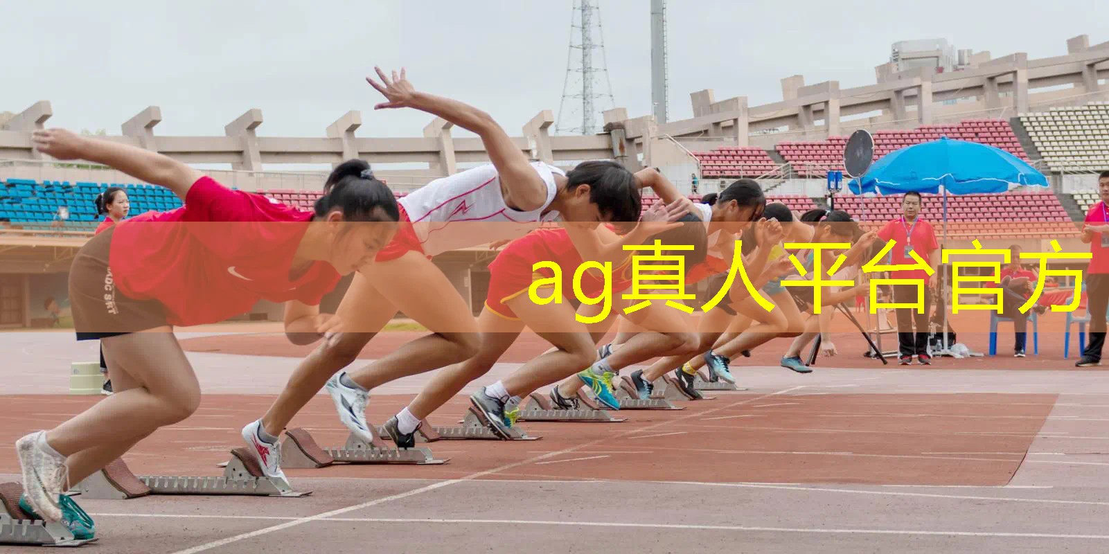 微信小程序猪猪小游戏