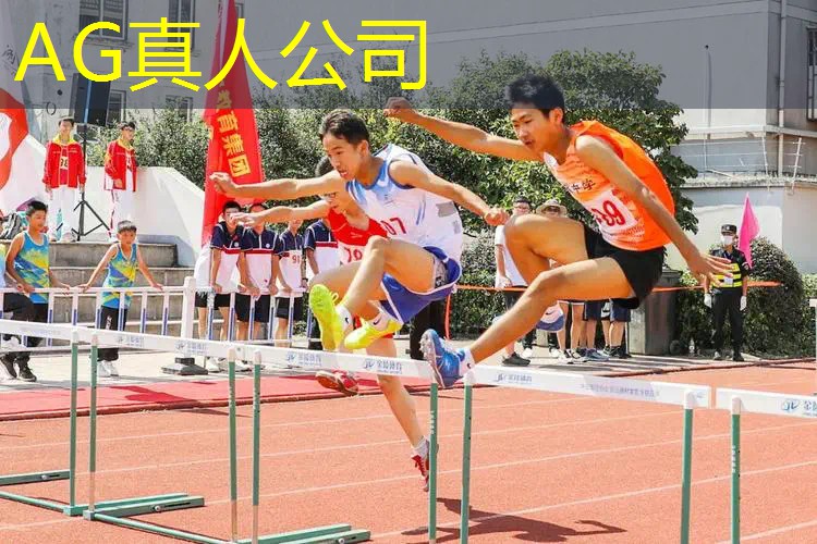 电脑3d搬砖游戏有哪些