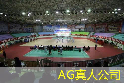 游戏ui设计分析模板怎么写